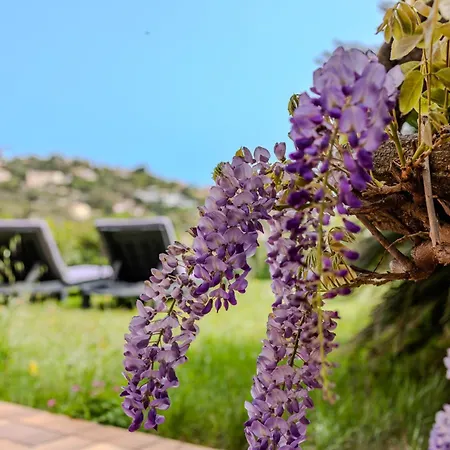 Holiday home Provenzalisches Haus Homard - Mit Privatem Garten Und Meerblick By Riviera Homelife *